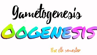 Oogenesis  Gametogenesis  Bsc 6th semester zoology unit 5  Developmental biology [upl. by Alle166]