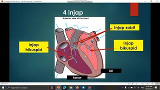 Sains Tingkatan 3 Bab 32 Peredaran Darah part 2 [upl. by Anyela682]