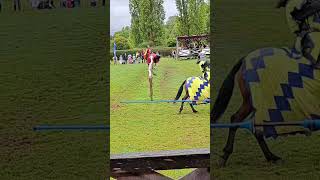 A bit of Jousting for you at Hever Castle [upl. by Aleuqahs]