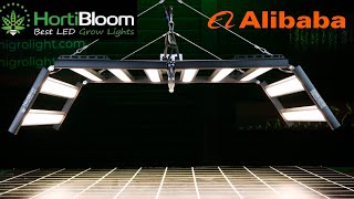 Hortibloom mega enfold 1000W commercial LED grow light review [upl. by Notserp]