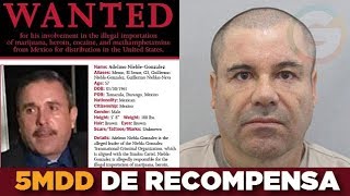 Recompensa de 5mdd por quotEL G3quot operador del Chapo Guzmán  EU [upl. by Aniroz]