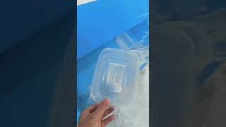 100 Leak Proof PP Transparent Food Box  Hot amp Cold  Making Thermoforming Machine 918128711963 [upl. by Helge]