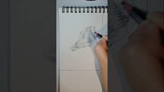 Chicken draw simple drawing upinipin viralvideo [upl. by Monney]