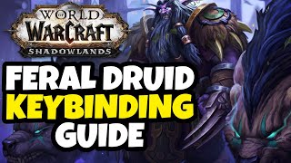 Feral Druid Keybinding Guide  WoW Shadowlands 905 [upl. by Akima735]