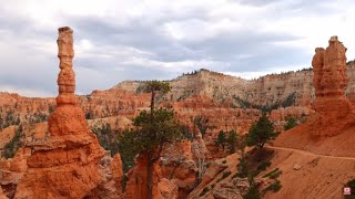 Bryce Canyon Episode 2 Amphitheater Stunning Scenery in 8K UHD w Ambient amp Cinematic Music [upl. by Wrand]