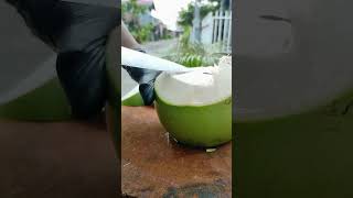 I Like Coco Drink  videos shorts coconut [upl. by Auoz636]