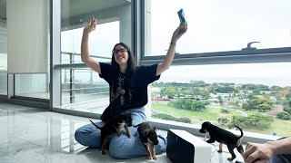 vlog tour por bs as fotografiando PERRITOS para adopción [upl. by Annaet]