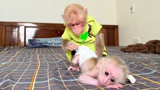 Super funny Bibi discovered that the baby monkey pooped so he asked Mom to take a bath [upl. by Kcirdor]