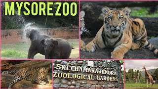 Mysore zoo tour  Karnataka tourism part 2 [upl. by Ingold]