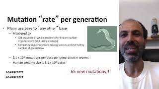 Genetics and Evolution  42 Mutation and Complex Traits [upl. by Latricia520]