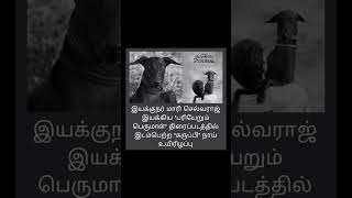 karuppi rip PariyerumPerumal mariselvaraj trending tamilnews M2C Madurai2Chennai dog [upl. by Oca]