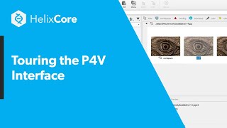 Touring the P4V Interface [upl. by Thaddus]