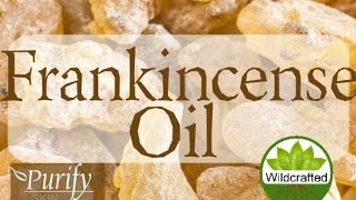 Frankincense Essential Oil  All You Need To Know [upl. by Wertheimer932]