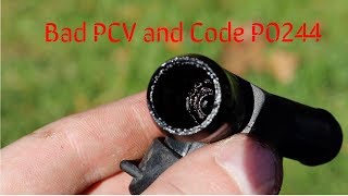 Forester PCV and Restrictor Pill Code P0244 [upl. by Bernita157]