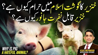 How Does PORK Make People Sick  Does PORK Contain Hidden Dangers  Asad Mehmood Inspirational [upl. by Netsud809]