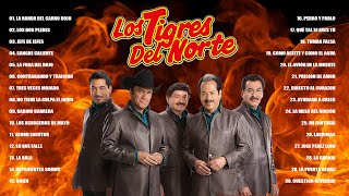 Mix Los Tigres Del Norte VOL1 Corridos 💃 Puros Corridos Mix 💃 Puros Corridos Pesados Mix [upl. by Candy101]