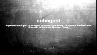 What does subagent mean [upl. by Ahsuatan]