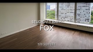 Studio  med Fox [upl. by Linder]