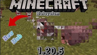 Exploring New update 1205 in Minecraft Malayalam [upl. by Atrahc265]