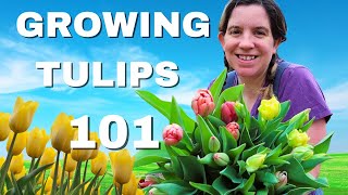 A Beginners Guide to Growing Tulips in Zone 8B [upl. by Ennairoc]