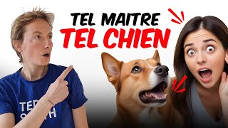 Tel Maitre Tel Chien [upl. by Ymirej]