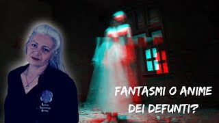 ANIME DEI DEFUNTI FANTASMI O ENERGIE  COSA ABBIAMO VISTO [upl. by Beata677]