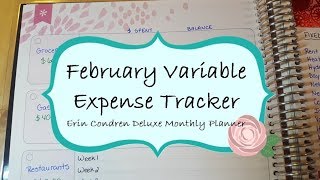 February Variable Expense Tracker  Erin Condren Deluxe Monthly Planner [upl. by Acessej]