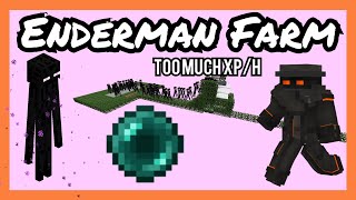 Enderman Farm 112  117 2021 [upl. by Enileuqkcaj556]