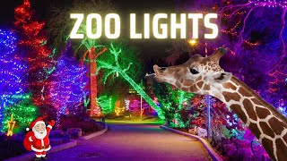 Calgary Zoo Lights Walking Tour Over 1 Million Christmas Lights [upl. by Aihsar]