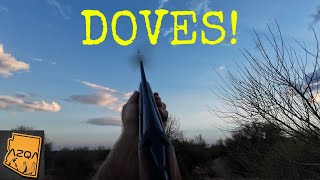 AZ Quail Adventures  Solo 28GA Dove Hunt [upl. by Ahgem]