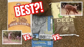 Best Attractant for Whitetail Deer  Deer Corn  Whitetail Deer Hunting [upl. by Ingles]