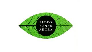 Pedro Aznar  Quiero Decirte Que Sí [upl. by Chretien]