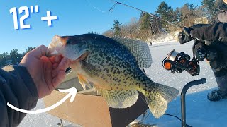 Taking Podium In An Ice Fishing Tournament [upl. by Loyce]