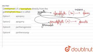 Development of a portophyte directly from the gametophytic tissue is called [upl. by Perrin]