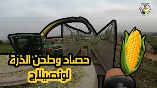 عملية طحن الذرةلونصيلاجعلف طبيعي💯 [upl. by Salem]