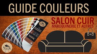 RÉNOVATION CUIR CANAPÉ  CHOISIR SA COULEUR SANS ERREUR  SOFOLKfr [upl. by Mabelle605]