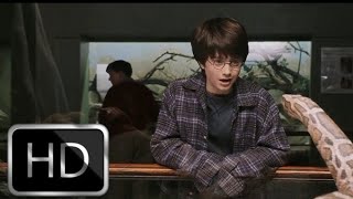 Harry Potter and the philosophers stone zoo Scene Telugu  Harry Potter Telugu  Spotlight Telugu [upl. by Dranoc]