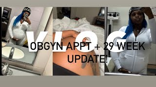 OBGYN VLOG  29 WEEK PREGNANCY UPDATE [upl. by Dnalram]