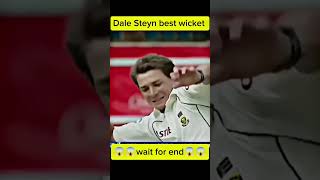 Dale styen incredible delivery cricket ytshorts shortsfeed shorts [upl. by Strickler]