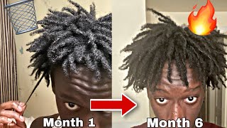 My Freeform Dread Journey Explained INSANE GROWTH [upl. by Ecinev895]