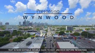 Presenting Wynwood Miami [upl. by Olegnad699]