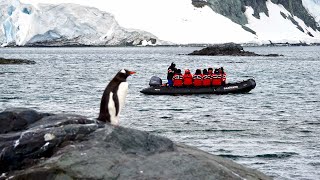 46 Mikkelsen Harbour amp Whalers Bay Antarctica [upl. by Amelita898]