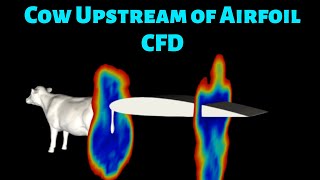 How does a Cow affect an Airfoils Aerodynamics [upl. by Eneiluj]