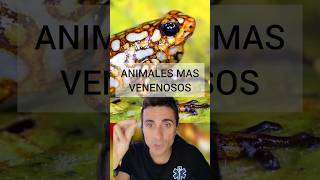 Animales venenosos que no lo parecensupervivencia sabiasque curiosidades [upl. by Josler]