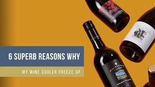 6 Superb Reasons Why My Wine Cooler Freeze Up [upl. by Niela]