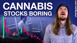 Cannabis Stocks Summer Bleed [upl. by Eldoria675]