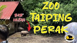 ZOO TAIPINGPERAK [upl. by Leibrag]