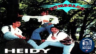 HEIDY amp ZUMBALEO  DESILUCION DE AMOR 1993 [upl. by Konrad178]