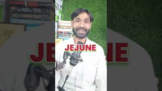 Jejune meaning zulfiqarmohammadienglish english vocabularywords vocabularylearn [upl. by Mientao]