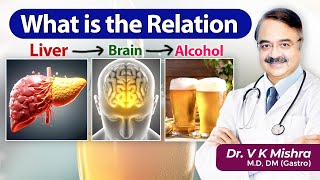 What is the relation liver brain alcohol  ALCOHOL AND HEALTH RISKS [upl. by Lashondra422]